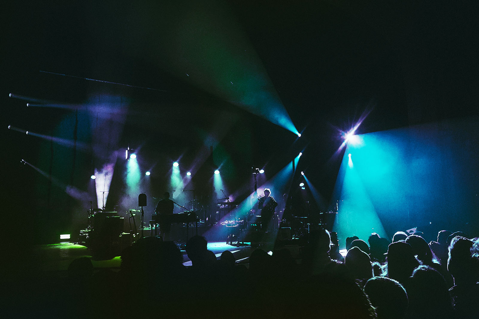 a picture of The Bees Kness performaning on stage